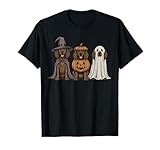 Spooky Ghost Boykin Spaniel Pumpkin Halloween Dog Lover T-Shirt