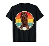 Vintage Retro Sunset American Water Spaniel Dog T-Shirt
