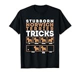 Stubborn Norwich Terrier Dog Tricks Graphic T-Shirt T-Shirt
