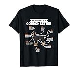 Anatomy of a Gordon Setter Fun Dog Master's Lady T-Shirt