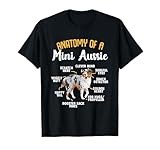 Miniature Australian Shepherd thumbnail