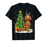 Irish Setter Dog Lover Xmas Lighting Irish Setter Christmas T-Shirt for Men Women Kids