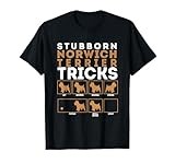 Stubborn Norwich Terrier Dog Tricks Graphic T-Shirt T-Shirt