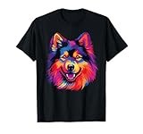 Finnish Lapphund thumbnail