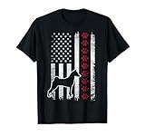 Vintage Retro USA Patriotic American Flag Basenji T-Shirt