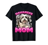 Havanese thumbnail