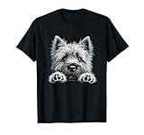 Cairn Terrier thumbnail