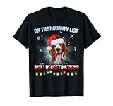 On The Naughty List And Welsh Springer Spaniel Christmas T-Shirt