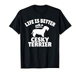 Cesky Terrier thumbnail