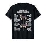 Anatomy of a Swedish Vallhund T-Shirt